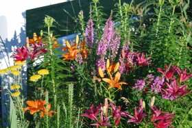 July August 2008 062                   